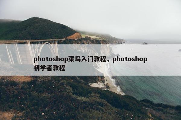 photoshop菜鸟入门教程,photoshop初学者教程 photoshop菜鸟入门教程,photoshop初学者教程