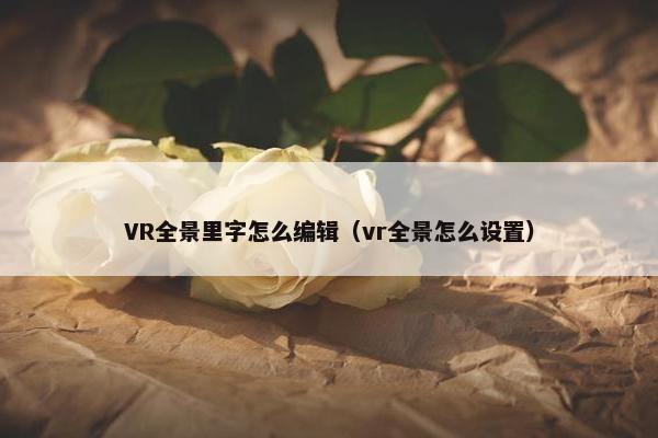 VR全景里字怎么编辑（vr全景怎么设置）