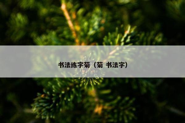 书法练字菊（菊 书法字）