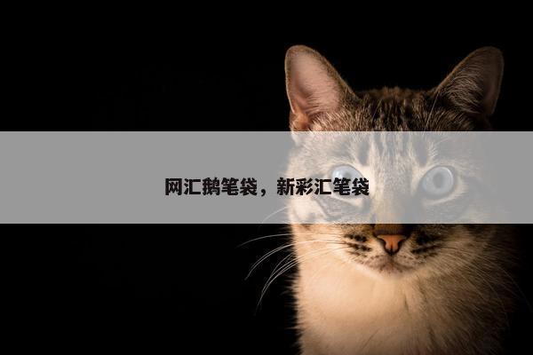 网汇鹅笔袋,新彩汇笔袋 网汇鹅笔袋,新彩汇笔袋