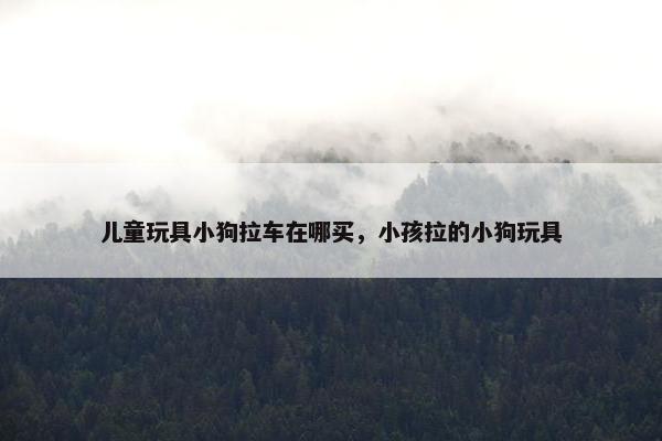 儿童玩具小狗拉车在哪买，小孩拉的小狗玩具