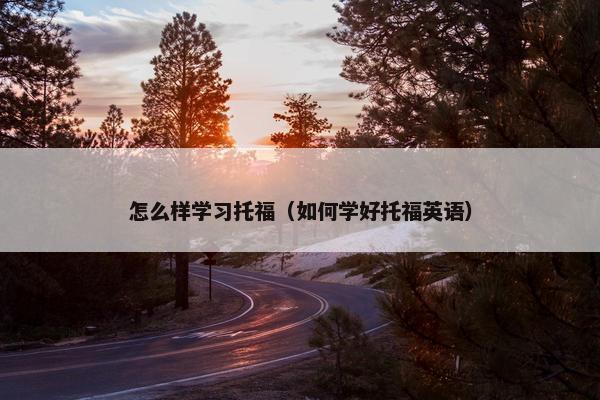 怎么样学习托福（如何学好托福英语）