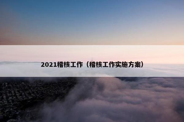 2021稽核工作（稽核工作实施方案）