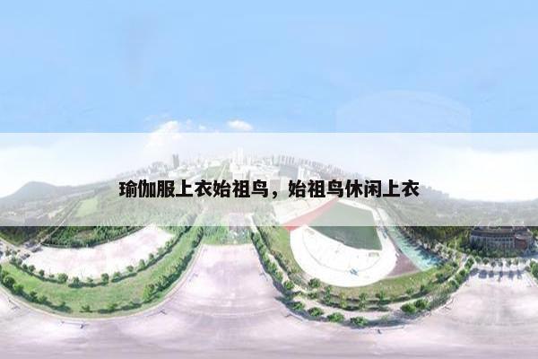 瑜伽服上衣始祖鸟，始祖鸟休闲上衣
