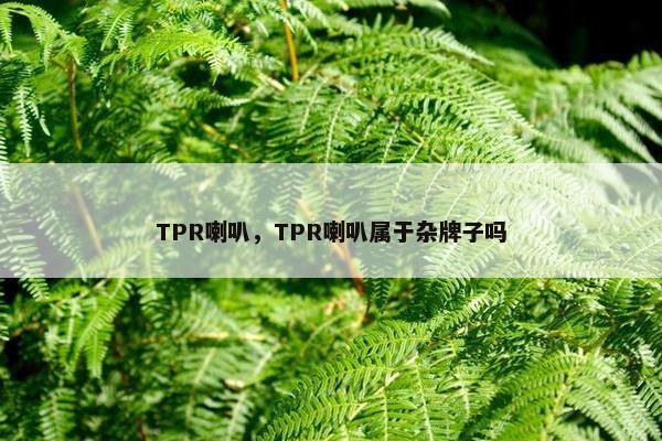TPR喇叭，TPR喇叭属于杂牌子吗