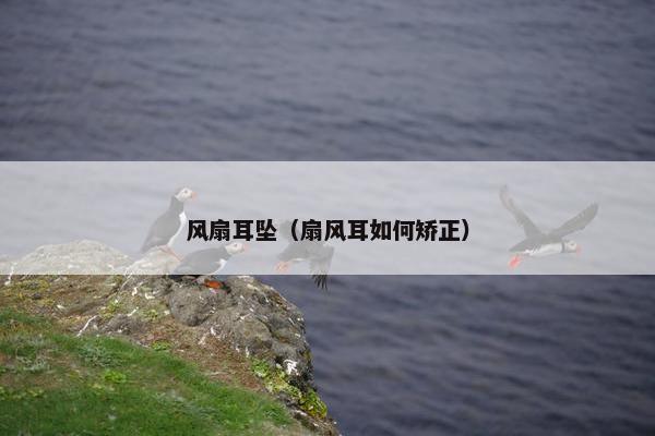 风扇耳坠（扇风耳如何矫正）