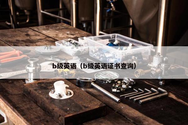 b级英语(b级英语证书查询) b级英语(b级英语证书查询)