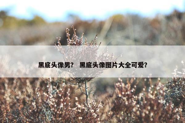 黑底头像男？ 黑底头像图片大全可爱？
