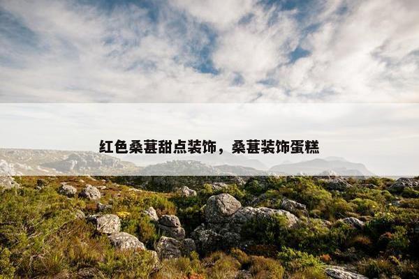 红色桑葚甜点装饰，桑葚装饰蛋糕