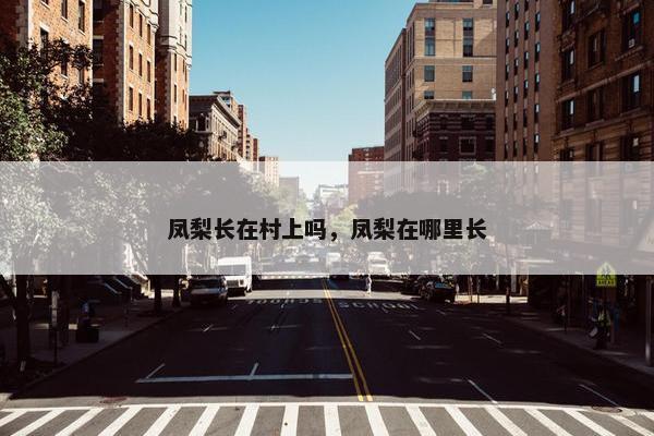 凤梨长在村上吗,凤梨在哪里长 凤梨长在村上吗,凤梨在哪里长