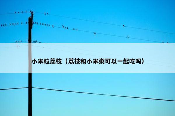 小米粒荔枝（荔枝和小米粥可以一起吃吗）