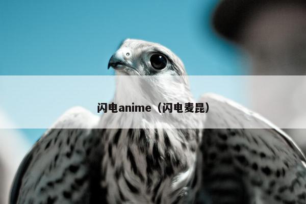 闪电anime（闪电麦昆）