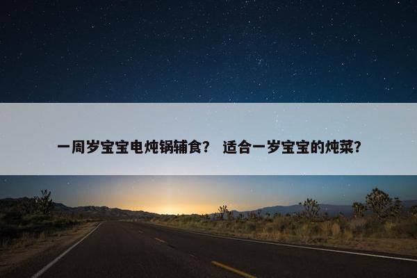 一周岁宝宝电炖锅辅食？ 适合一岁宝宝的炖菜？