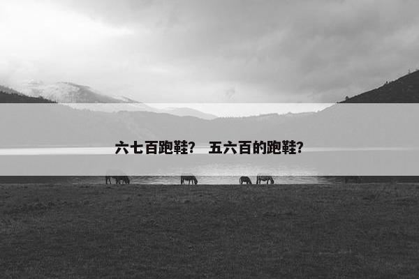 六七百跑鞋？ 五六百的跑鞋？