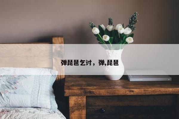 弹琵琶乞讨，弹,琵琶