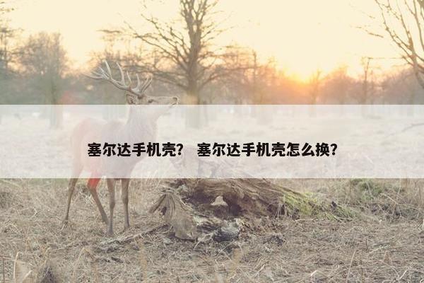塞尔达手机壳？ 塞尔达手机壳怎么换？