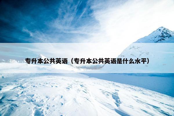 专升本公共英语（专升本公共英语是什么水平）