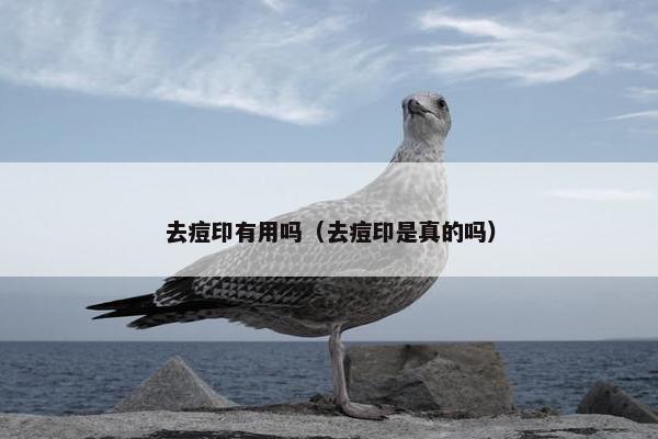 去痘印有用吗（去痘印是真的吗）