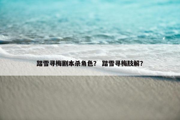 踏雪寻梅剧本杀角色？ 踏雪寻梅肢解？