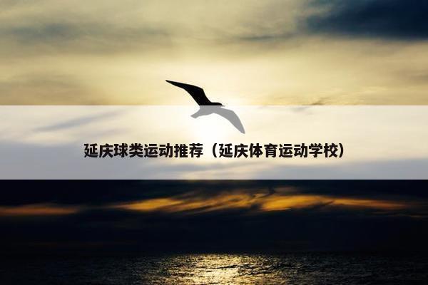 延庆球类运动推荐（延庆体育运动学校）