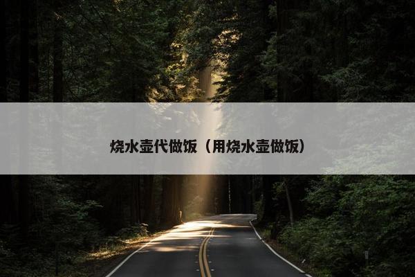烧水壶代做饭(用烧水壶做饭) 烧水壶代做饭(用烧水壶做饭)