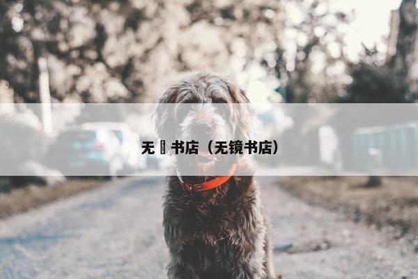 无覔书店（无镜书店）