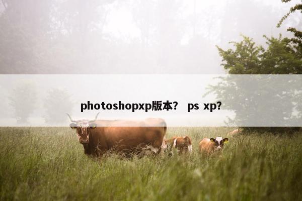photoshopxp版本？ ps xp？