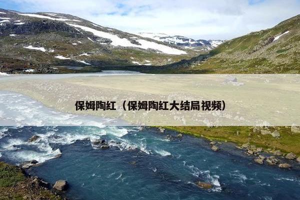 保姆陶红（保姆陶红大结局视频）