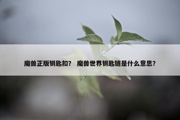 魔兽正版钥匙扣？ 魔兽世界钥匙链是什么意思？
