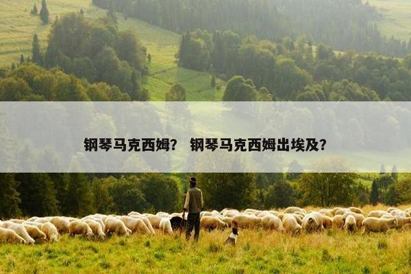 钢琴马克西姆？ 钢琴马克西姆出埃及？