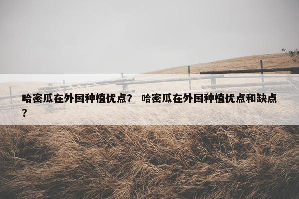 哈密瓜在外国种植优点? 哈密瓜在外国种植优点和缺点? 哈密瓜在外国种植优点? 哈密瓜在外国种植优点和缺点?