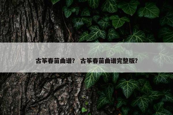 古筝春苗曲谱？ 古筝春苗曲谱完整版？