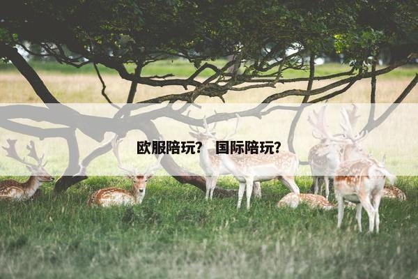 欧服陪玩？ 国际陪玩？