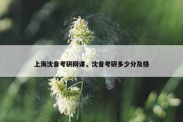 上海沈音考研网课，沈音考研多少分及格