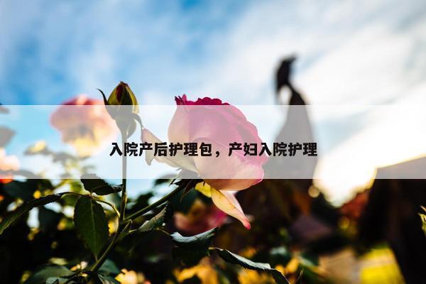 入院产后护理包，产妇入院护理