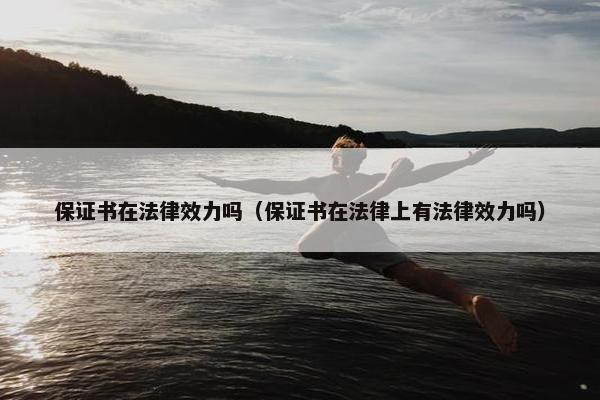 保证书在法律效力吗(保证书在法律上有法律效力吗) 保证书在法律效力吗(保证书在法律上有法律效力吗)