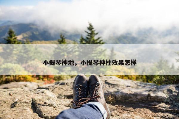 小提琴神地，小提琴神柱效果怎样