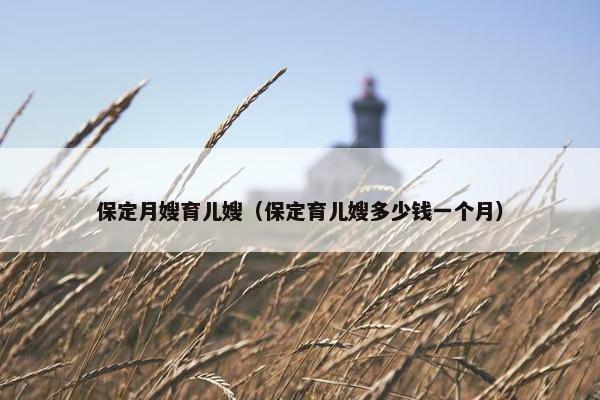 保定月嫂育儿嫂（保定育儿嫂多少钱一个月）