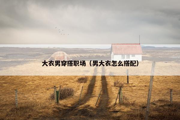 大衣男穿搭职场（男大衣怎么搭配）