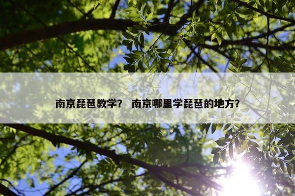 南京琵琶教学？ 南京哪里学琵琶的地方？