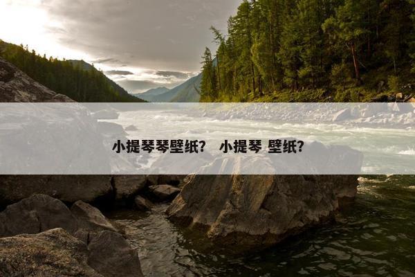 小提琴琴壁纸？ 小提琴 壁纸？