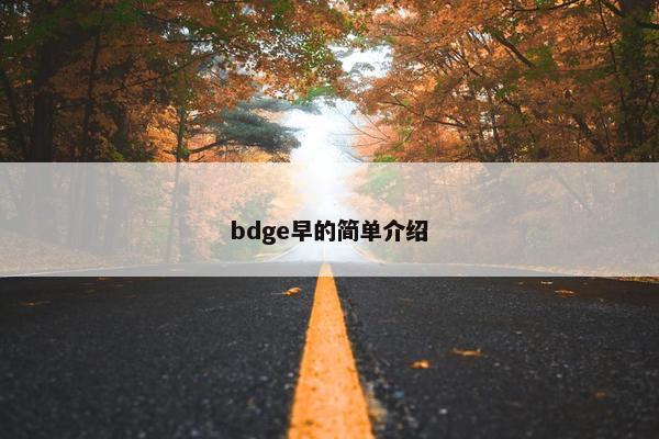 bdge早的简单介绍