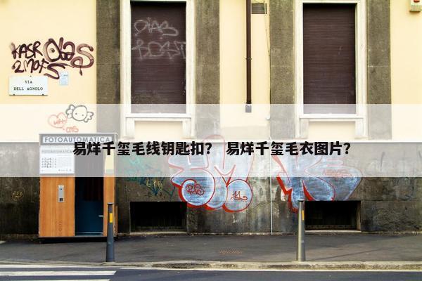 易烊千玺毛线钥匙扣? 易烊千玺毛衣图片? 易烊千玺毛线钥匙扣? 易烊千玺毛衣图片?