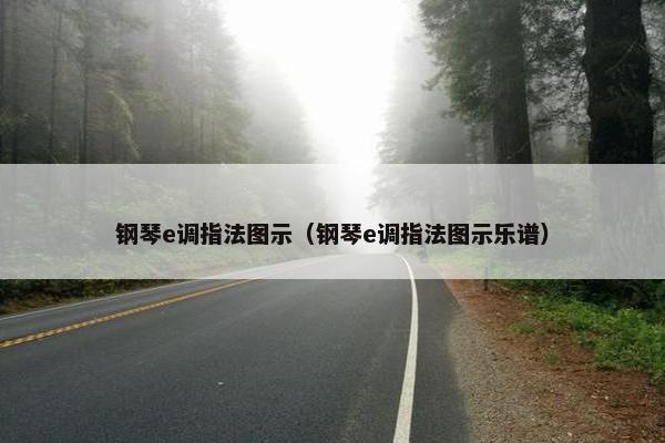 钢琴e调指法图示（钢琴e调指法图示乐谱）