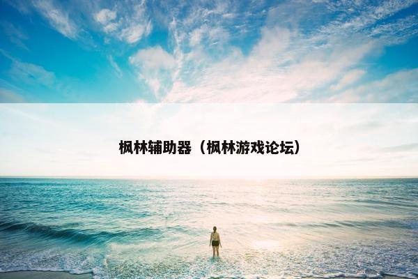枫林辅助器（枫林游戏论坛）