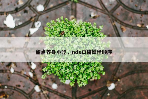 甜点养身小吃，nds口袋妖怪顺序