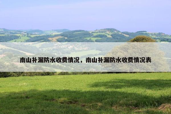 南山补漏防水收费情况，南山补漏防水收费情况表