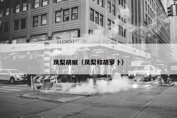 凤梨胡椒（凤梨和胡萝卜）