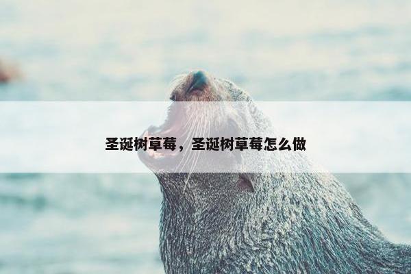 圣诞树草莓,圣诞树草莓怎么做 圣诞树草莓,圣诞树草莓怎么做