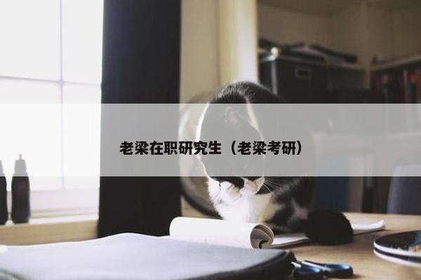 老梁在职研究生(老梁考研) 老梁在职研究生(老梁考研)